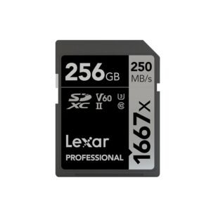 RoadGuard High-Speed Memory Card (256GB)